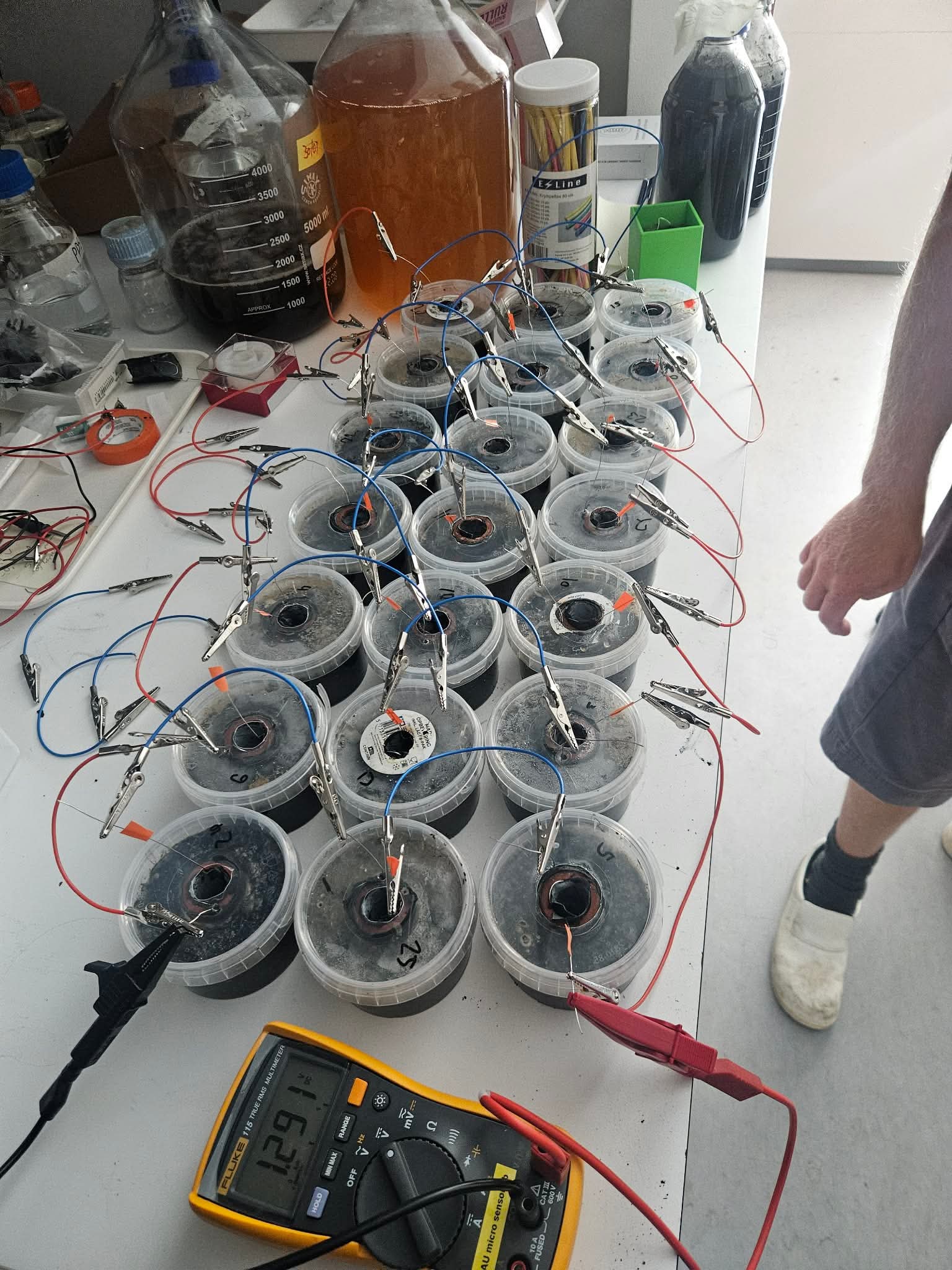 Wired microbial fuel cell array with voltage measurement